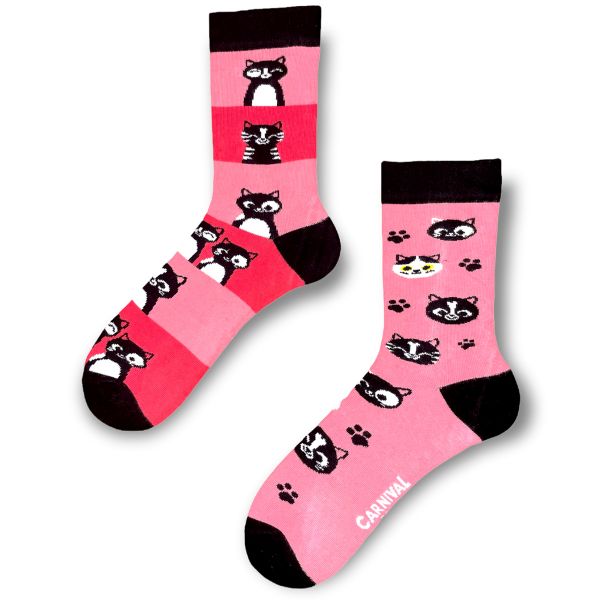 Unisex eriparisukat Silly Cats 36-41